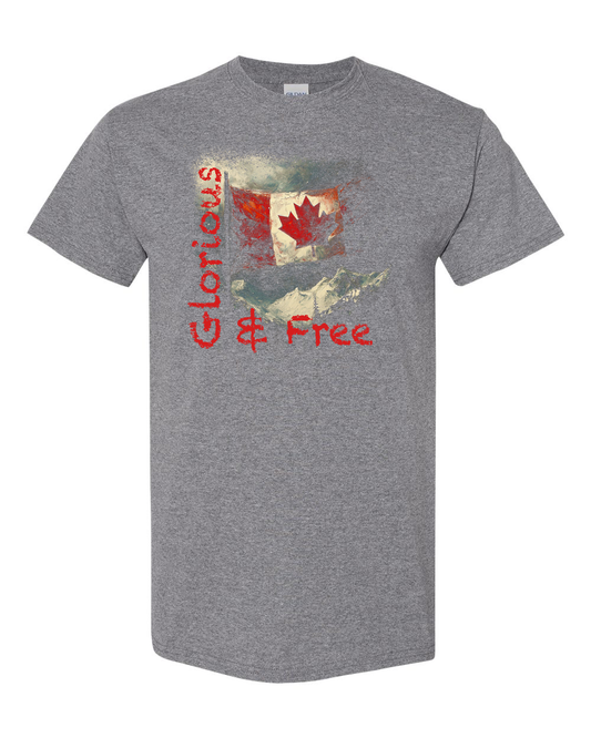 G&F Mountain Flag T-Shirt Gray