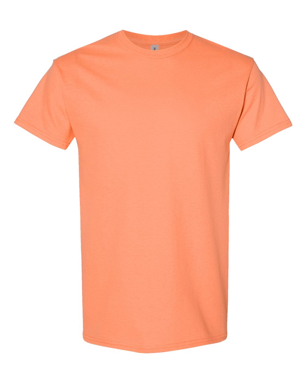 Unisex Heavy Cotton™ T-Shirt